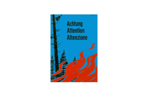 Interdiction partielle des feux en forêt