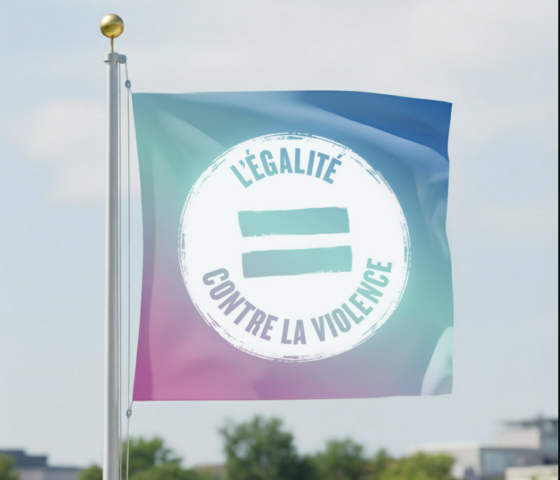 Campagne nationale de prévention de la violence domestique, sexuelle et de genre